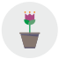 Flower icon