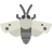 color style hawk moth icon