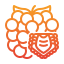 raspberry icon