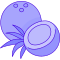 coconut icon