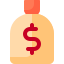 Money Bag icon