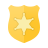 공공 안전 icon
