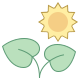 Plante sous le soleil icon