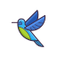 蜂鸟 icon