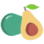 Avocado icon