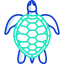 Tortuga icon