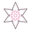 Shuriken icon