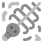 skull icon