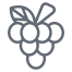 grapes icon
