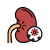 Kidney Infection icon
