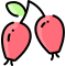rosehip icon