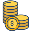 dollar icon