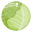 Cabbage icon