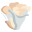 Maitake Mushroom icon