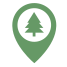 Fir icon