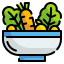 Salad icon