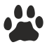 footstep icon
