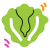 scribby style lettuce icon