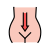 Digestion System icon