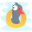 oie-oie-canard icon