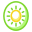 kiwi icon