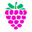 pieces style raspberry icon