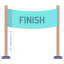 Finish Line icon