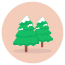 Fir Trees icon