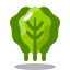 chou vert icon