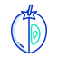 sapodilla icon