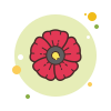양귀비꽃 icon