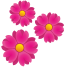 外部植物区系彩色花朵平面图标inmotus-design-2 icon