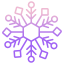 snowflake icon
