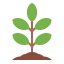 Plant icon