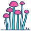 Enokitake Mushrooms icon