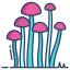 enokitake mushrooms icon