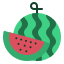 Watermelon icon