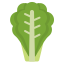 lettuce icon