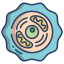 Cell Biology icon