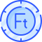 Forint icon