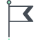 flag icon