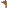 aerobic icon