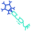 neuron icon