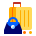 Bags icon