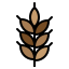 esterno-cereali-autunno-riempito-icone-pausa-08 icon
