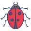 coccinelle-externe-bugs-et-insectes-icongeek26-couleur-linéaire-icongeek26 icon