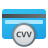 Card Verification Value icon