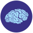 Brain icon