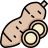 yucca icon
