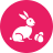 Bunny icon